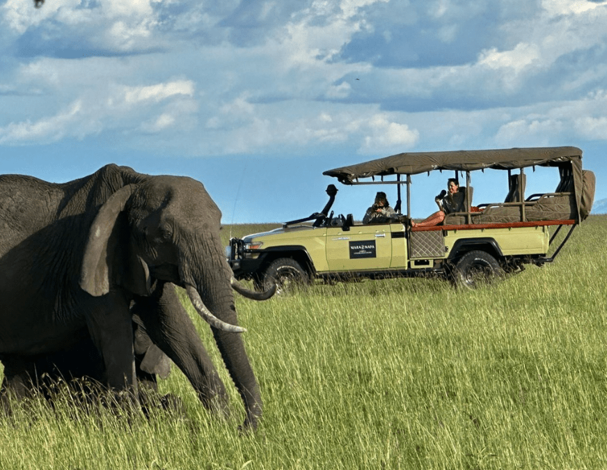 Private safari - NAPA