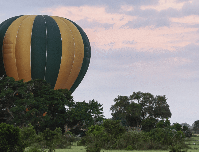 Hot air balloon hero 2 - NAPA